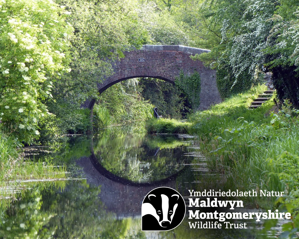 Wildlife Trust Canal Safari App