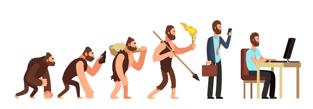 Company History