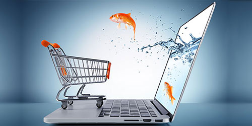 Ecommerce Websites